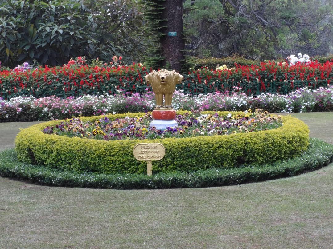 Rose Garden