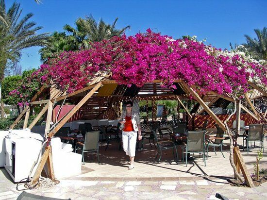 Da Franco Naama Bay